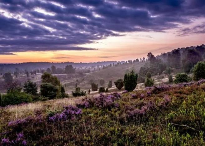 Ferienwohnung Ruhepol Fuer Mensch & Tier In Der Lueneburger Heide Vierhofen Exterior foto