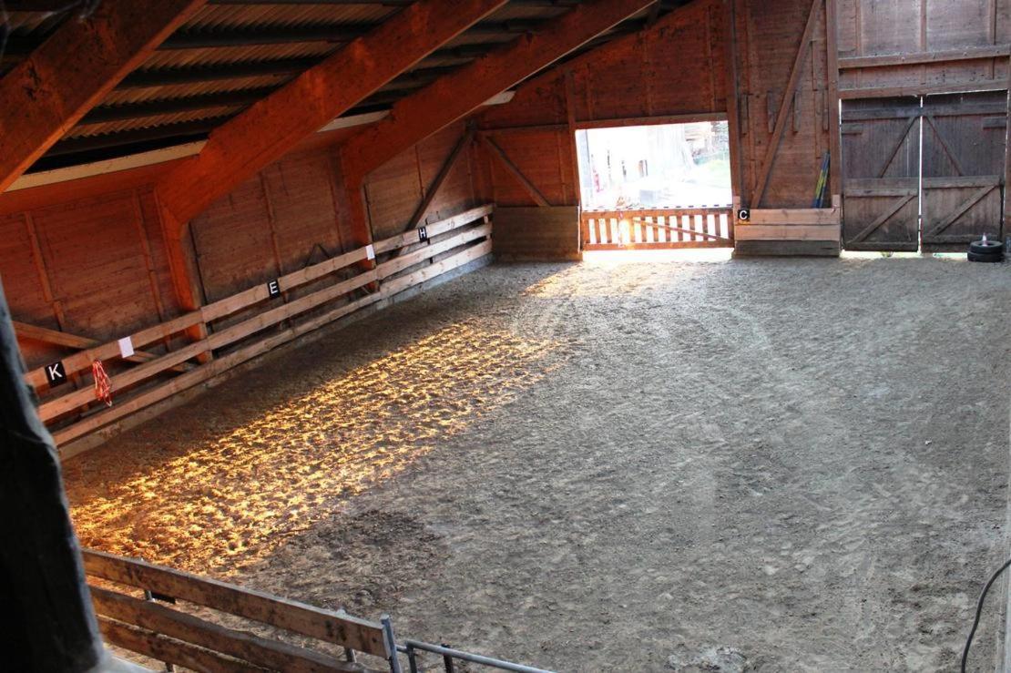Ferienwohnung Ruhepol Fuer Mensch & Tier In Der Lueneburger Heide Vierhofen Exterior foto