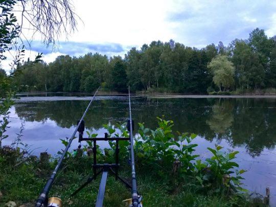 Ferienwohnung Ruhepol Fuer Mensch & Tier In Der Lueneburger Heide Vierhofen Exterior foto